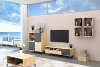 DL Гостиная МС Лион набор 3, ширина 258 см, комплект мебели в гостиную, тумба под тв, полка, комод