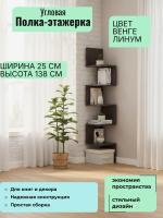 Полка угловая 3, ширина 25 см, этажерка, для книг, интерьерная, в гостиную, в спальню