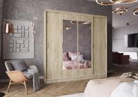 Шкаф-купе Неаполь 2,2 с 2-мя зеркалами Дуб Крафт Серый