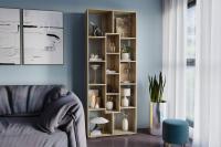 Стеллаж 01 Дуб Вотан