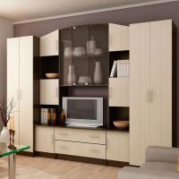 Гостиная Макарена, цвет Венге / Дуб, ширина 279 см, с полками, с тумбой под ТВ, шкаф