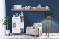 Гостиная Вега Скандинавия (комплект 3), цвет Белый, Дуб Каньон