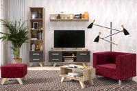 Гостиная Вега Скандинавия (комплект 5), цвет Дуб Каньон, силк флай