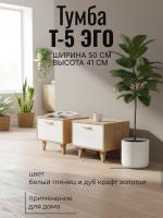 Тумба Т-5 ЭГО для дома Белый глянец и Дуб Крафт золотой, ширина 50 см, комод, стеллаж, с ящиком, в гостиную, в спальню