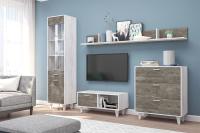 Гостиная МС ЭГО набор 8, ширина 225 см, комплект мебели, консоль под тв, шкаф