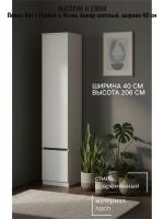 Пенал Кэт 1 Графит и Ясень Анкор светлый, ширина 40 см, шкаф, с полками, для одежды, в гостиную, в спальню, в прихожую