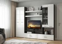 Гостиная Альфа, цвет Венге/Белый глянец