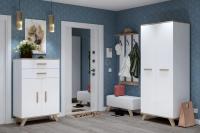 Прихожая Вега Скандинавия (Комплект 1), цвет Белый / дуб каньон