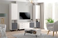 Гостиная МС Лион набор 10, ширина 262 см, комплект мебели, в гостиную, тумба под тв, журнальный стол