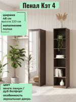 Пенал с зеркалом Кэт 4 Венге линум, ширина 40 см, шкаф, с полками, в гостиную, в спальню, в прихожую, с зеркалом