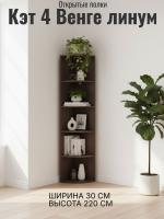 Открытые полки Кэт 4 Венге линум, ширина 30 см, стеллаж, с полками, в гостиную, в спальню, в кабинет