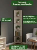 Открытые полки Колибри, ширина 37 см, напольный стеллаж, в гостиную, в спальню, в кабинет