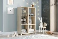 Стеллаж Незнайка 2