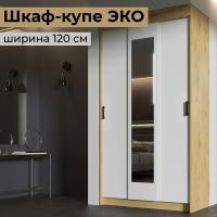 Шкаф-купе ЭКО ширина 120 см Дуб Вотан / Белый гладкий с зеркалом и штангой в прихожую для одежды и в спальню платяной большой высота 220