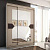 Шкаф-купе Николь 3 ширина 170 см Ясень Шимо / Лиственница темная, для одежды, большой, высота 220 см, высокий